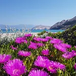 Radojevic Baška